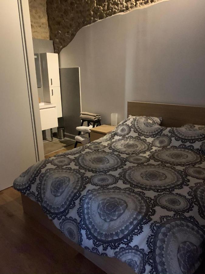 Coeur Vieux Lyon, 60 M2 Lumineux Tout Confort מראה חיצוני תמונה