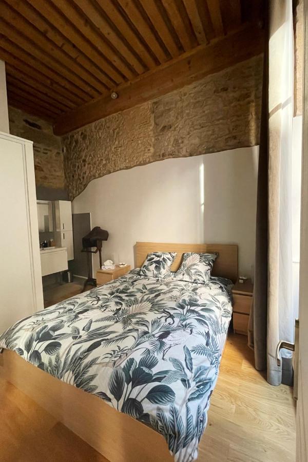 Coeur Vieux Lyon, 60 M2 Lumineux Tout Confort מראה חיצוני תמונה